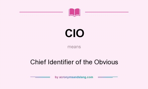 What does CIO mean? It stands for Chief Identifier of the Obvious
