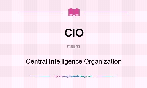 What does CIO mean? It stands for Central Intelligence Organization