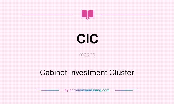 What does CIC mean? It stands for Cabinet Investment Cluster