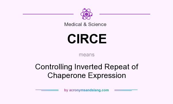 What does CIRCE mean? It stands for Controlling Inverted Repeat of Chaperone Expression