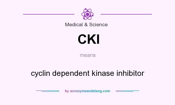 What does CKI mean? It stands for cyclin dependent kinase inhibitor