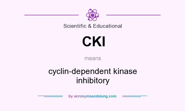 What does CKI mean? It stands for cyclin-dependent kinase inhibitory