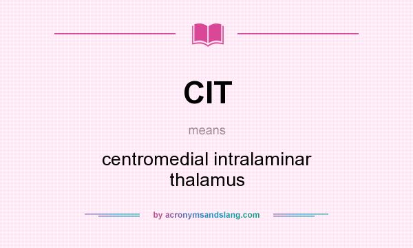 What does CIT mean? It stands for centromedial intralaminar thalamus