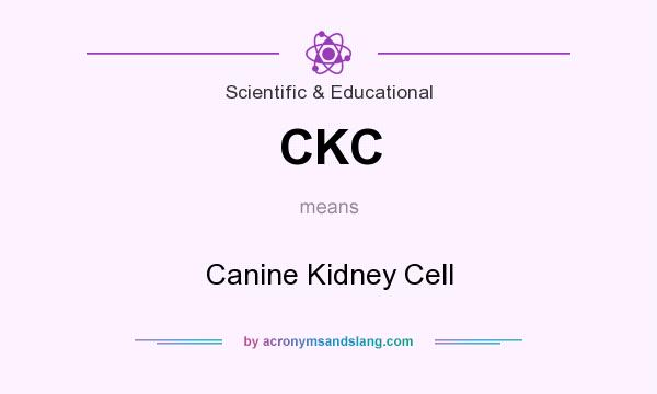 What does CKC mean? It stands for Canine Kidney Cell