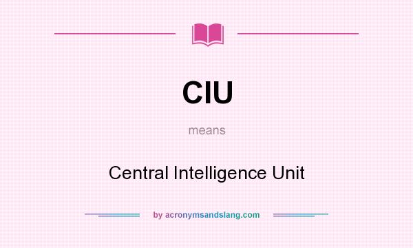 What does CIU mean? It stands for Central Intelligence Unit