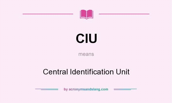 What does CIU mean? It stands for Central Identification Unit