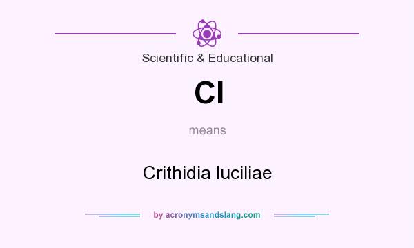 What does Cl mean? It stands for Crithidia luciliae