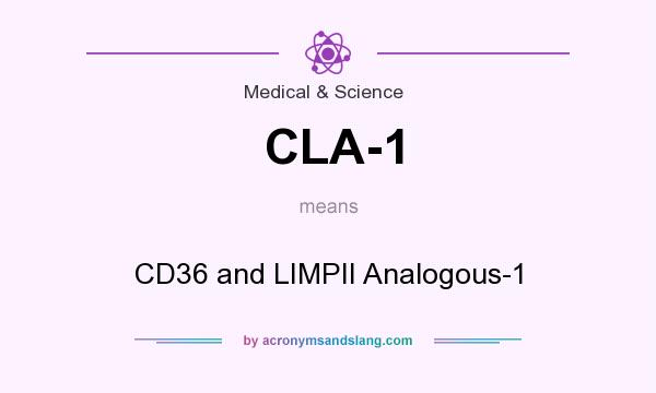 What does CLA-1 mean? It stands for CD36 and LIMPII Analogous-1