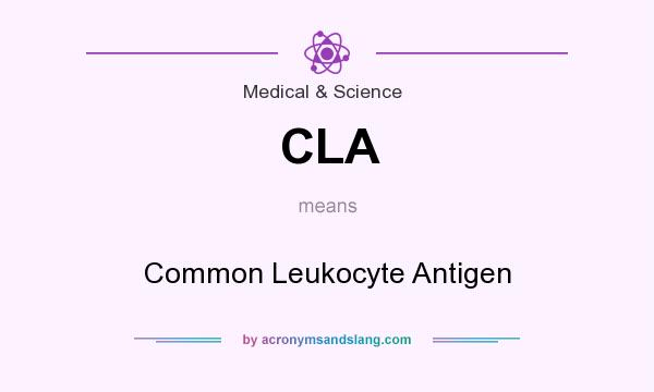 What does CLA mean? It stands for Common Leukocyte Antigen