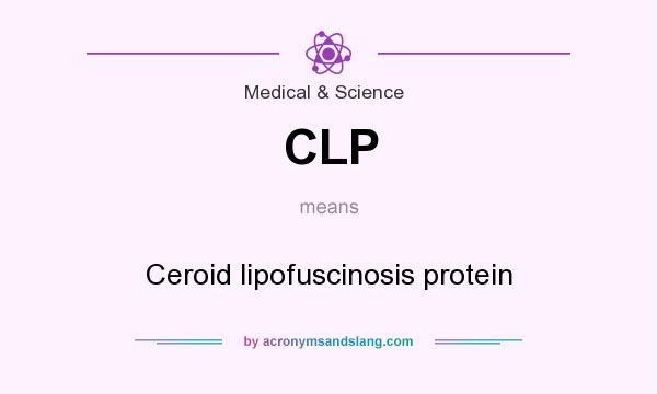 What does CLP mean? It stands for Ceroid lipofuscinosis protein