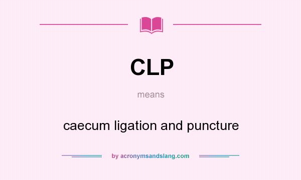 What does CLP mean? It stands for caecum ligation and puncture