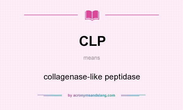 What does CLP mean? It stands for collagenase-like peptidase