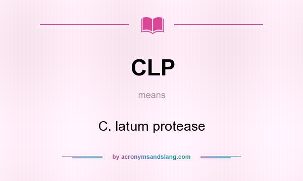 What does CLP mean? It stands for C. latum protease