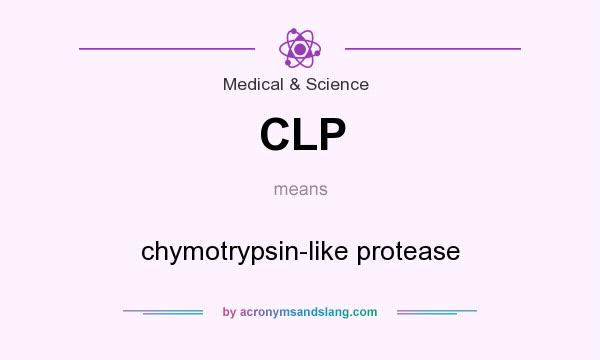 What does CLP mean? It stands for chymotrypsin-like protease