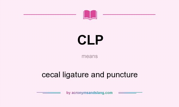 What does CLP mean? It stands for cecal ligature and puncture