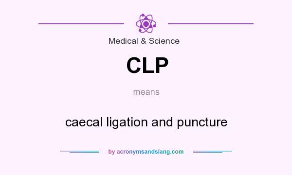 What does CLP mean? It stands for caecal ligation and puncture