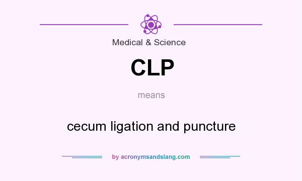 What does CLP mean? It stands for cecum ligation and puncture