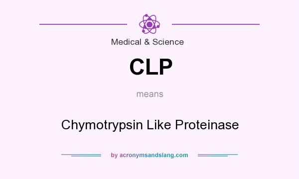 What does CLP mean? It stands for Chymotrypsin Like Proteinase
