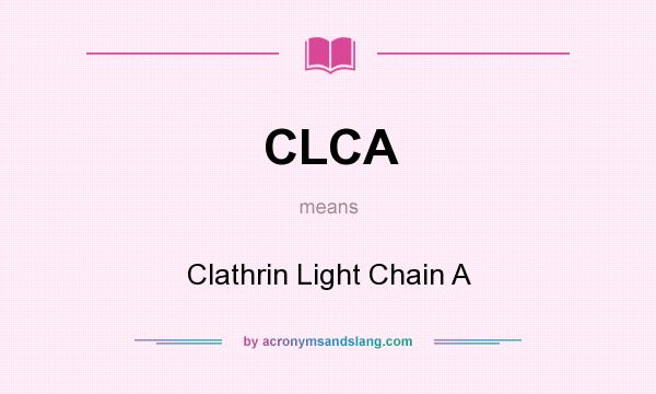What does CLCA mean? It stands for Clathrin Light Chain A