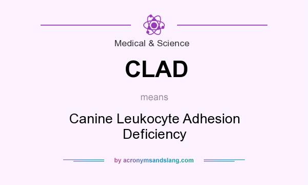 What does CLAD mean? It stands for Canine Leukocyte Adhesion Deficiency