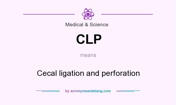 What does CLP mean? It stands for Cecal ligation and perforation