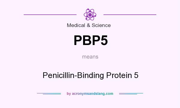 What does PBP5 mean? It stands for Penicillin-Binding Protein 5