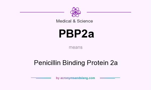 What does PBP2a mean? It stands for Penicillin Binding Protein 2a