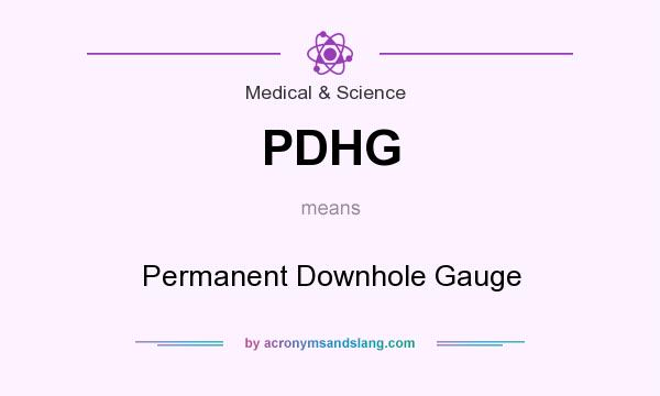 What does PDHG mean? It stands for Permanent Downhole Gauge