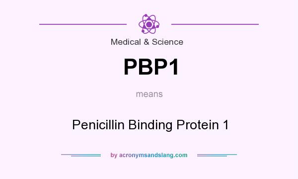 What does PBP1 mean? It stands for Penicillin Binding Protein 1