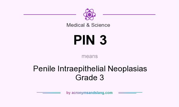 What does PIN 3 mean? It stands for Penile Intraepithelial Neoplasias Grade 3