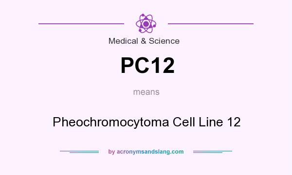 What does PC12 mean? It stands for Pheochromocytoma Cell Line 12