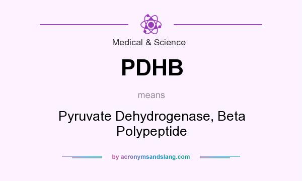 What does PDHB mean? It stands for Pyruvate Dehydrogenase, Beta Polypeptide