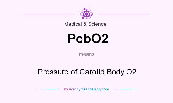 What does PcbO2 mean? It stands for Pressure of Carotid Body O2