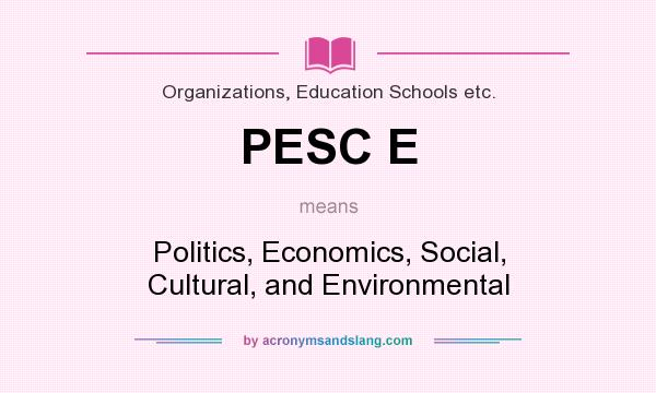 What does PESC E mean? It stands for Politics, Economics, Social, Cultural, and Environmental