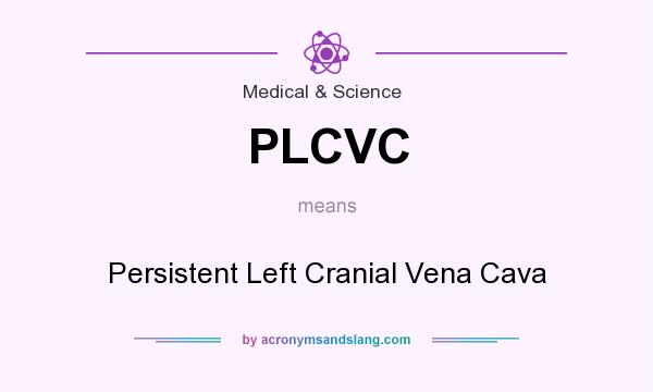 What does PLCVC mean? It stands for Persistent Left Cranial Vena Cava