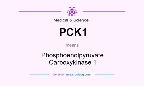What does PCK1 mean? It stands for Phosphoenolpyruvate Carboxykinase 1