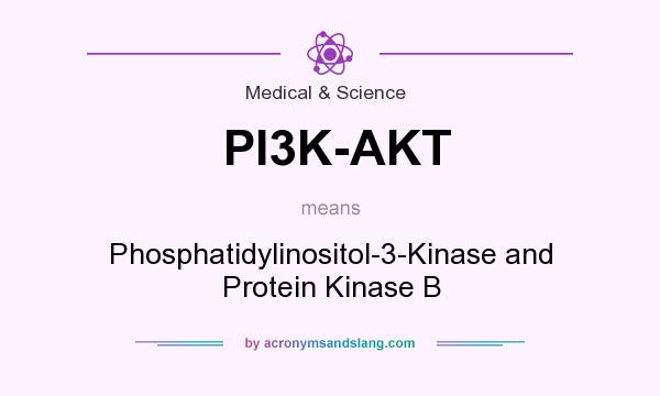 What does PI3K-AKT mean? It stands for Phosphatidylinositol-3-Kinase and Protein Kinase B