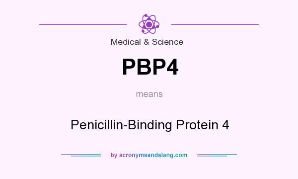What does PBP4 mean? It stands for Penicillin-Binding Protein 4