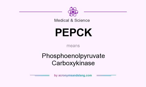 What does PEPCK mean? It stands for Phosphoenolpyruvate Carboxykinase