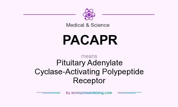 What does PACAPR mean? It stands for Pituitary Adenylate Cyclase-Activating Polypeptide Receptor