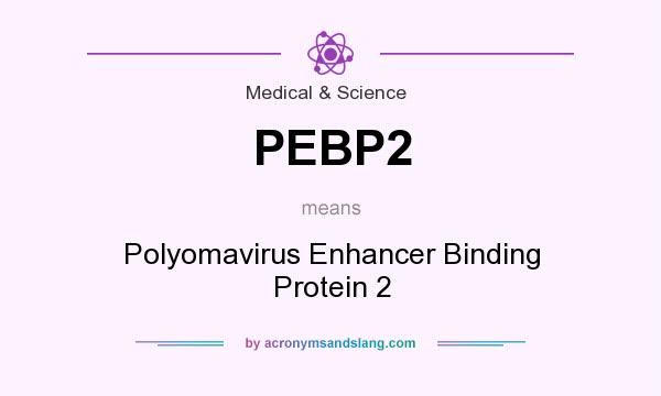 What does PEBP2 mean? It stands for Polyomavirus Enhancer Binding Protein 2