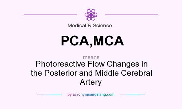 What does PCA,MCA mean? It stands for Photoreactive Flow Changes in the Posterior and Middle Cerebral Artery