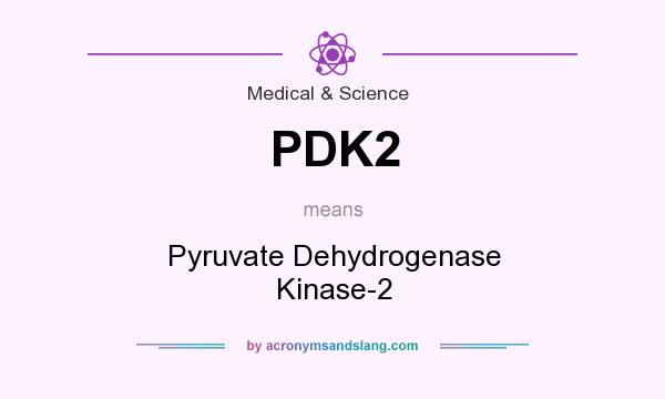 What does PDK2 mean? It stands for Pyruvate Dehydrogenase Kinase-2