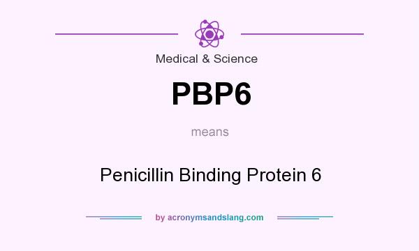 What does PBP6 mean? It stands for Penicillin Binding Protein 6