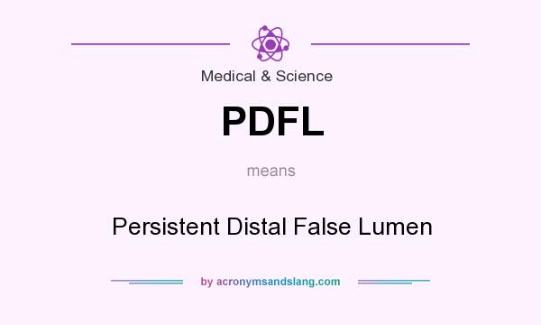 What does PDFL mean? It stands for Persistent Distal False Lumen