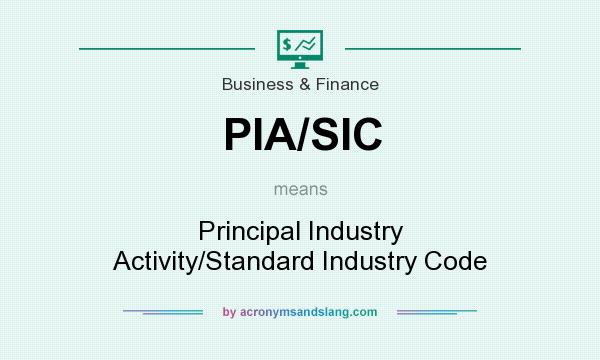 What does PIA/SIC mean? It stands for Principal Industry Activity/Standard Industry Code