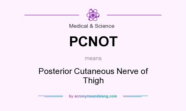 What does PCNOT mean? It stands for Posterior Cutaneous Nerve of Thigh