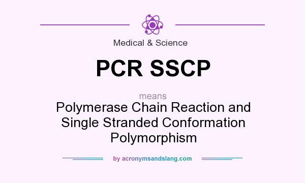 What does PCR SSCP mean? It stands for Polymerase Chain Reaction and Single Stranded Conformation Polymorphism