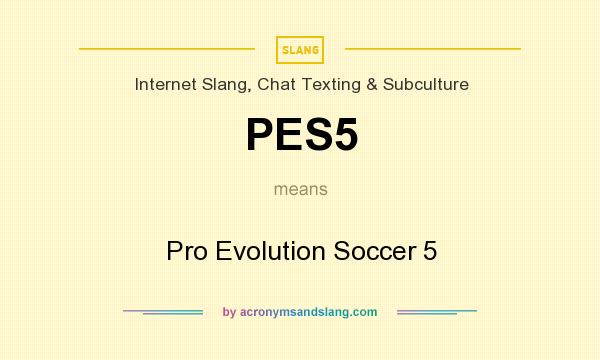 What does PES5 mean? It stands for Pro Evolution Soccer 5