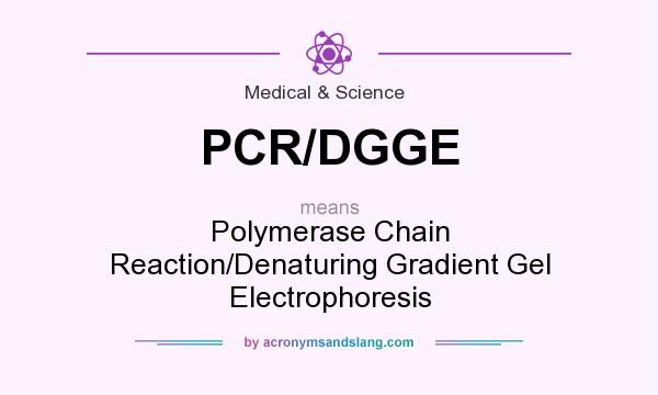 What does PCR/DGGE mean? It stands for Polymerase Chain Reaction/Denaturing Gradient Gel Electrophoresis